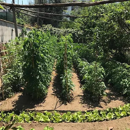 Bella Bed & Breakfast 4*