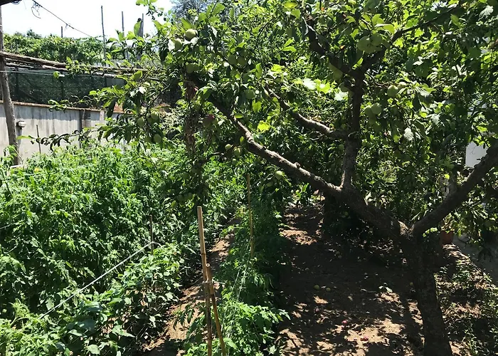 Bella Сорренто