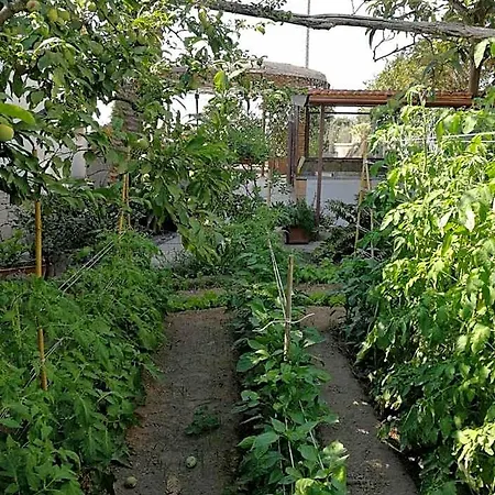 Bed & Breakfast Bella Sorrento