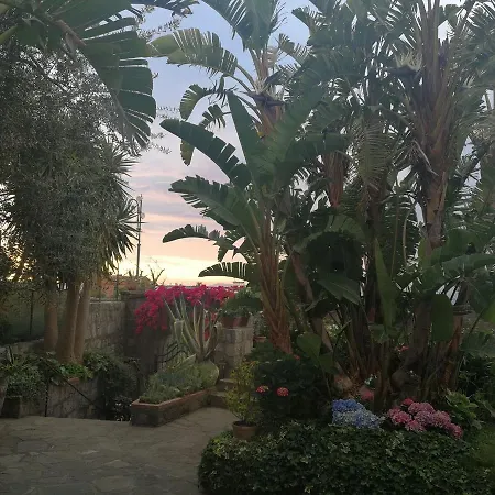 Bella Bed & Breakfast