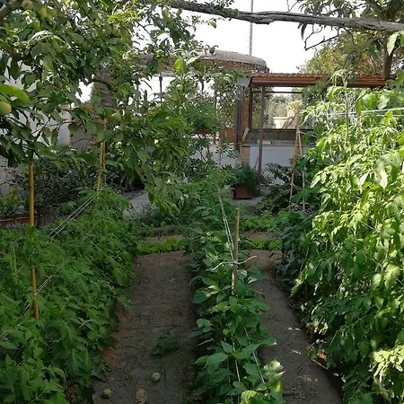 Bed & Breakfast Bella *