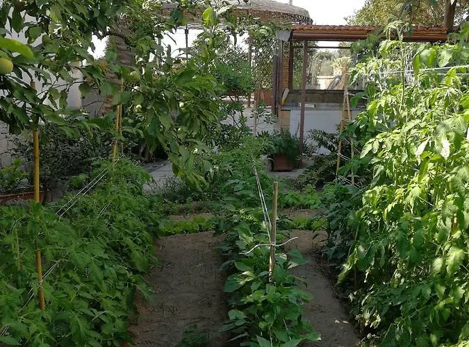 Bed and breakfast Bella 4*